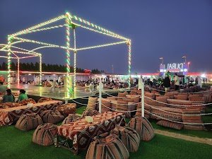 Adventure Planet Tourism - Dubai Desert Safari place picture