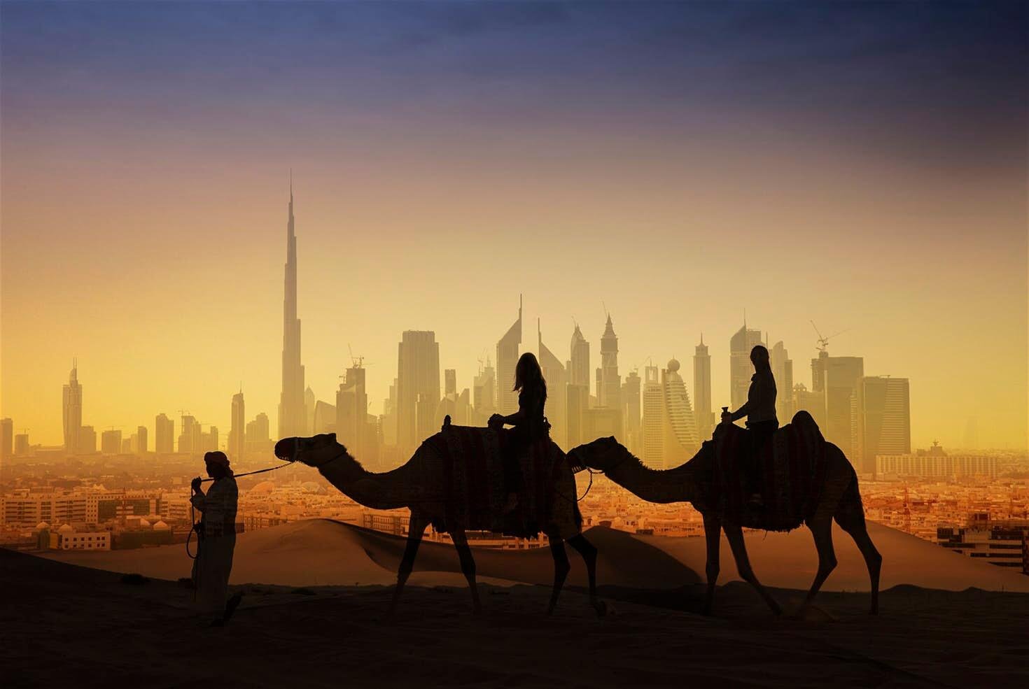 camel ride Dubai