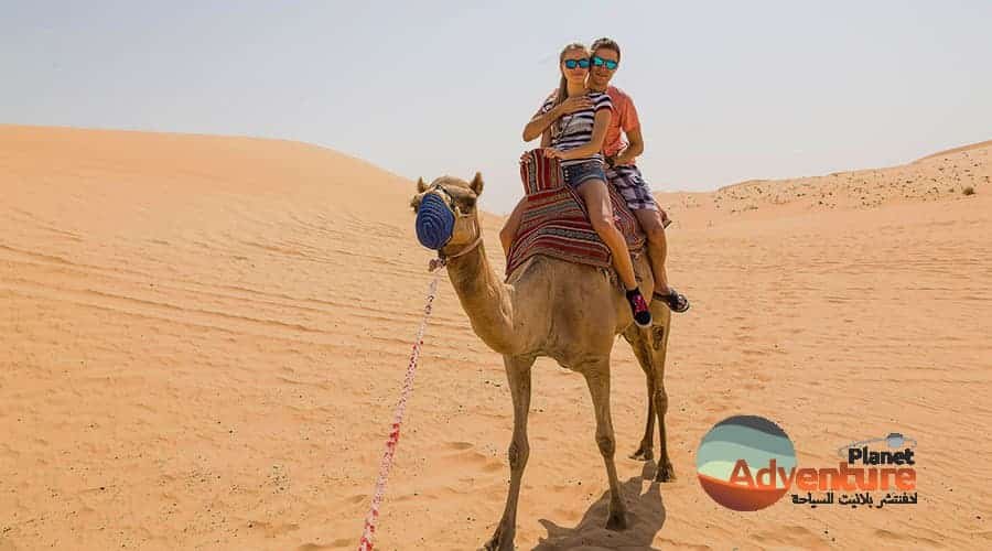 camel ride in dubai