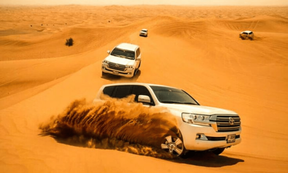 Safari 4x4 desert ride