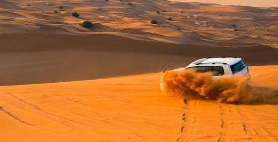 Thrilling desert expedition