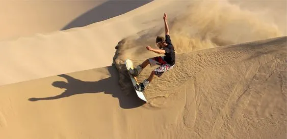 the desert safari