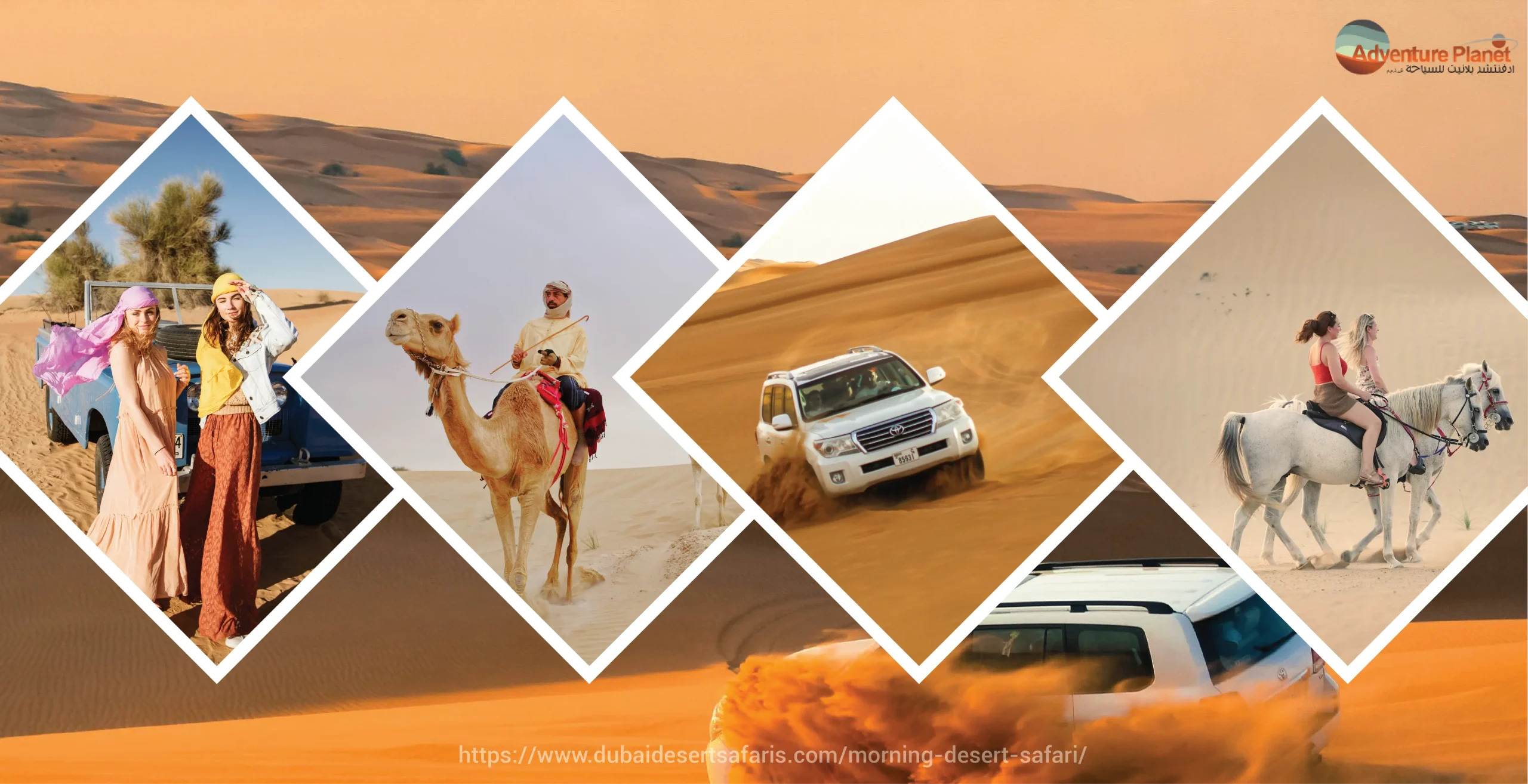 Morning Desert Safari