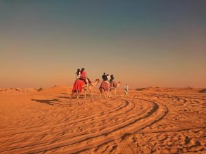 Desert Safari